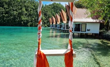Club Tara Island Resort (Hotel and Resort for sale)