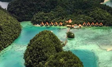 Club Tara Island Resort (Hotel and Resort for sale)