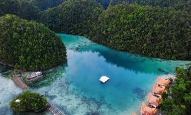 Club Tara Island Resort (Hotel and Resort for sale)