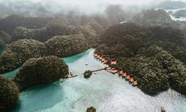 Club Tara Island Resort (Hotel and Resort for sale)