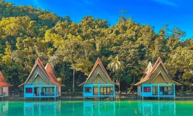 Club Tara Island Resort (Hotel and Resort for sale)