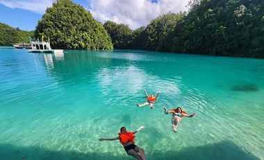 Club Tara Island Resort (Hotel and Resort for sale)