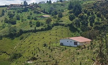 Vendo finca en la vereda Cimarronas, Marinilla Ant.