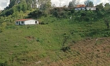 Vendo finca en la vereda Cimarronas, Marinilla Ant.