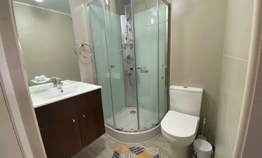 Golondrina Sur Arrienda dpto. Marzo Diciembre en Condominio Payllahue Pucón