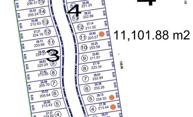 TERRENOS EN VENTA EN NATURA ALTOZANO