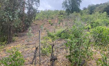 LO OROZCO – QUILPUE