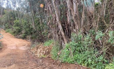 LO OROZCO – QUILPUE