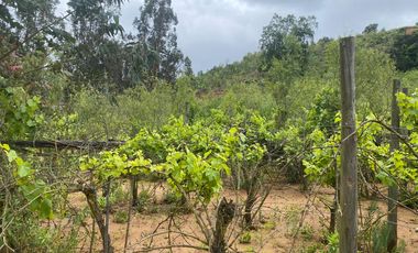 LO OROZCO – QUILPUE