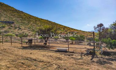 León propiedades vende o arrienda gran casa con establo en Fundo Alhué, Curacaví.