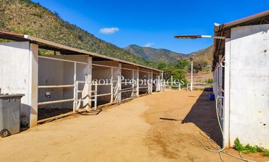 León propiedades vende o arrienda gran casa con establo en Fundo Alhué, Curacaví.