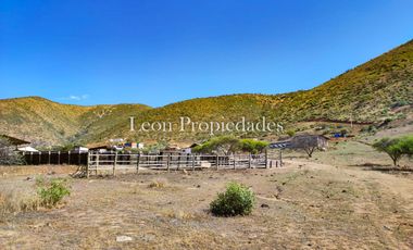 León propiedades vende o arrienda gran casa con establo en Fundo Alhué, Curacaví.