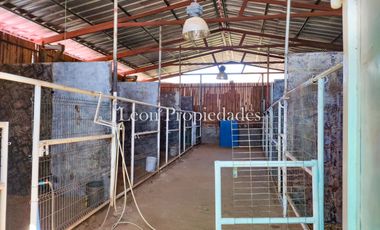 León propiedades vende o arrienda gran casa con establo en Fundo Alhué, Curacaví.