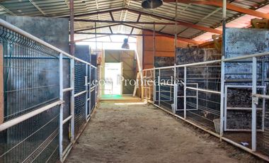 León propiedades vende o arrienda gran casa con establo en Fundo Alhué, Curacaví.