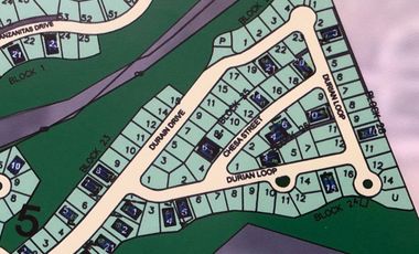 For Sale: 388 sqm lot at Ayala Westgrove Heights