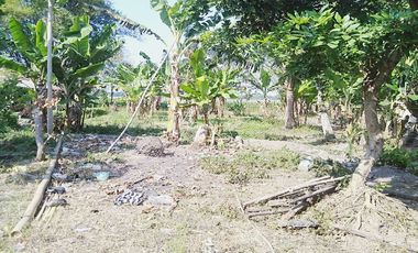Dijual Rumah + Tanah 1.530 m2 di Nganjuk Dekat RSUD Kertosono