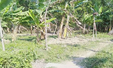 Dijual Rumah + Tanah 1.530 m2 di Nganjuk Dekat RSUD Kertosono