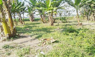 Dijual Rumah + Tanah 1.530 m2 di Nganjuk Dekat RSUD Kertosono