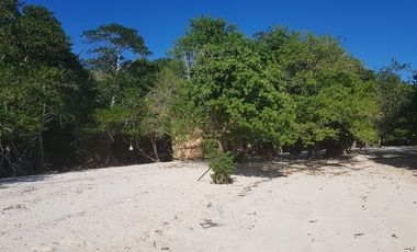 13 HECTARES (130,000 SQM) WHITE FINE SANDY BEACHFRONT TITLED PARCELS  SITUATED IN BRGY. SAN JOSE, CORON, PALAWAN, PHILIPPINES Brgy San Jose, Coron, Palawan