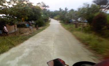 Titled agricultural land along national road overlooking to  Negros Bay
