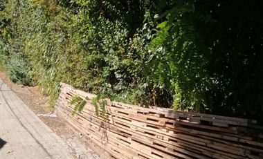 Oportunidad: Excelente Terreno en Chiguayante