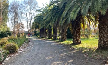 Casa San Gregorio