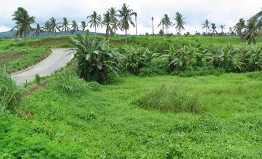 Rarely Available Vacant Lot For Sale in Ponderosa Leisure Farms, Silang, Cavite