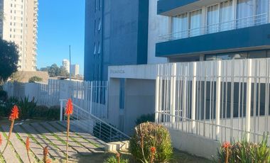 Vendo Departamento Lomas De Montemar Los Abedules 2d/2b