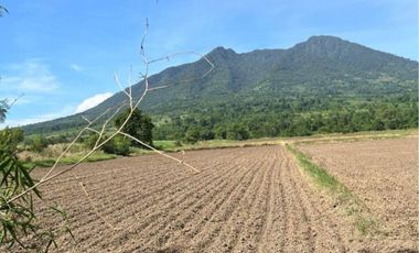 River Front Agriculture Land For Sale at Arayat Pampanga