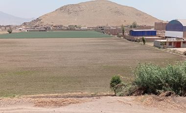 se vende 2.4has.  en Chuquitanta, San Martín de Porres.