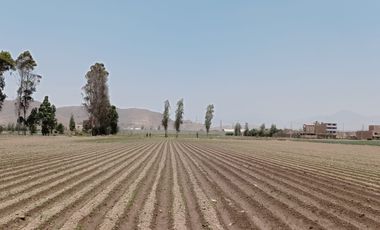 se vende 2.4has.  en Chuquitanta, San Martín de Porres.