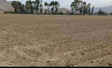 se vende 2.4has.  en Chuquitanta, San Martín de Porres.
