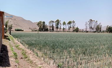 se vende 2.4has.  en Chuquitanta, San Martín de Porres.