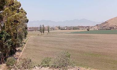 se vende 2.4has.  en Chuquitanta, San Martín de Porres.