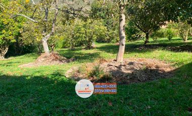 Amplia casa de renta totalmente amoblada a una cuadra del parque central Paute R201