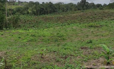 Finca con 10 hectáres de Abacá