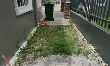 For Assume 6 Bedrooms House in Panglao Island