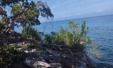 Beachlot For Sale - Cliff Type at Tangnan, Panglao, Bohol - Clean Titled
