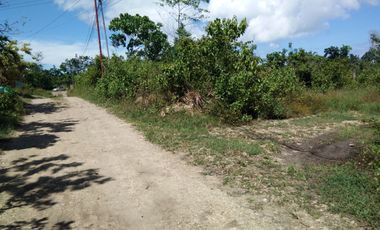 4,000 sq.m TITLED lot for sale in Dampas, Tagbilaran City, Bohol