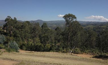 Lote Sebastián Conjunto