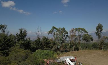 Lote Sebastián Conjunto