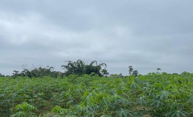 vendo finca para todo cultivo perfectamente tractorable