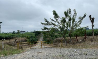 vendo finca para todo cultivo perfectamente tractorable