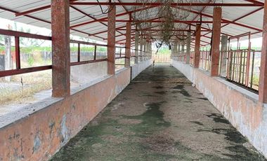 vendo finca para todo cultivo perfectamente tractorable