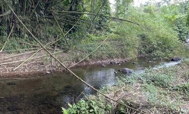 vendo finca para todo cultivo perfectamente tractorable