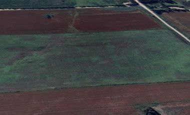 Campo Agricola De 49 Has En Camino Viejo A Miramar