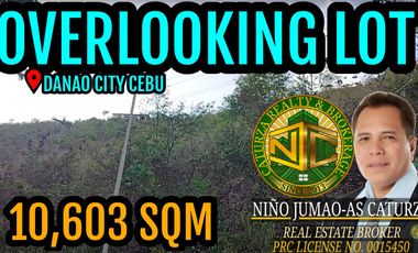 Lot For Sale 10,603 Sqm Clean Title Danao City Cebu Philippines 10K/sqm
