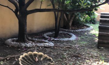 Casa en Venta en Contry la Silla 4to Sector