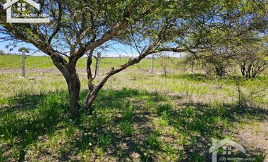 TERRENO EN ZOQUITAL ATOTONILCO 10677 m2 $257 el m2