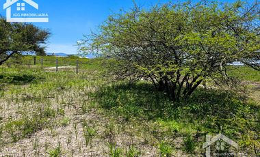 TERRENO EN ZOQUITAL ATOTONILCO 10677 m2 $257 el m2